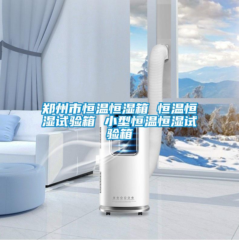 欧美成色手机在线观看 郑州市恒温恒湿箱 恒温恒湿试验箱 小型恒温恒湿试验箱