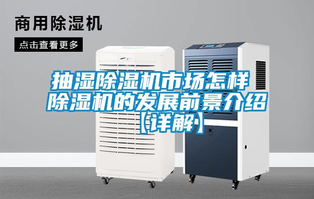 欧美黄色性爱视频网站 抽湿除湿机市场怎样 除湿机的发展前景介绍【详解】