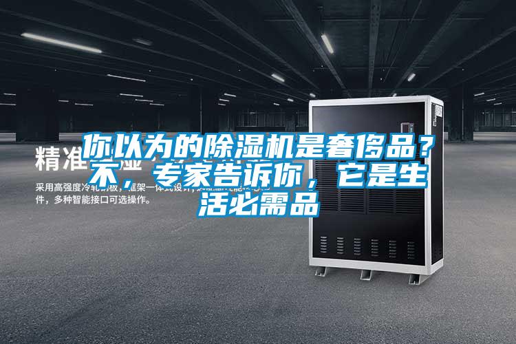 欧美黄色电影在线播放 你以为的除湿机是奢侈品？不，专家告诉你，它是生活必需品