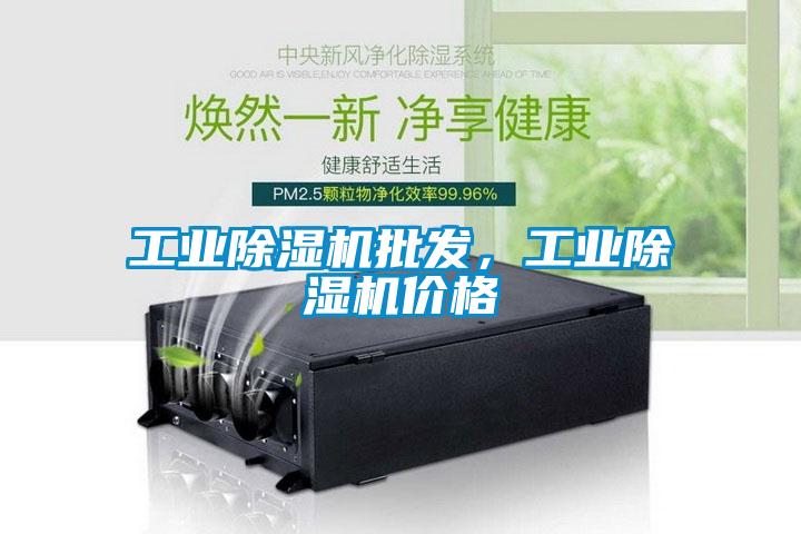 欧美成色手机在线观看 工业除湿机批发，工业除湿机价格