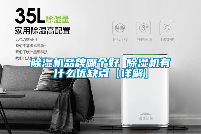 欧美黄色性爱视频网站 除湿机品牌哪个好 除湿机有什么优缺点【详解】