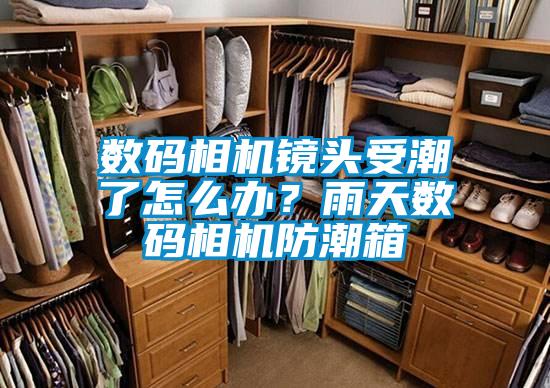 欧美黄色性爱视频网站 数码相机镜头受潮了怎么办？雨天数码相机防潮箱