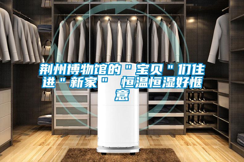 欧美黄色性爱视频网站 荆州博物馆的＂宝贝＂们住进＂新家＂ 恒温恒湿好惬意