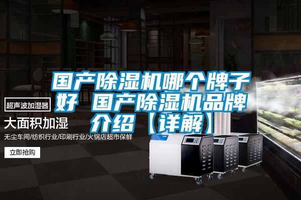 欧美成色手机在线观看 国产除湿机哪个牌子好 国产除湿机品牌介绍【详解】