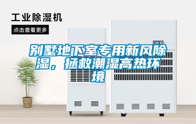 欧美黄色性爱视频网站 别墅地下室专用新风除湿，拯救潮湿高热环境