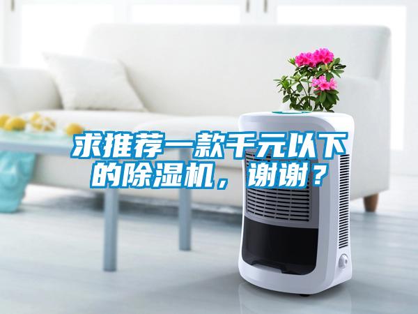 欧美黄色电影在线播放 求推荐一款千元以下的除湿机，谢谢？