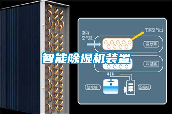 欧美黄色性爱视频网站 智能除湿机装置
