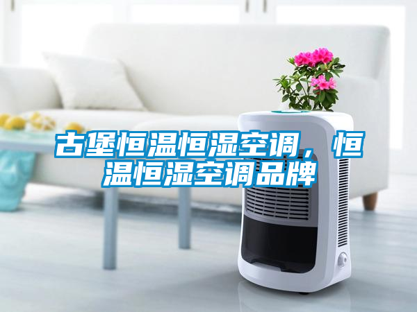 欧美黄色电影在线播放 古堡恒温恒湿空调，恒温恒湿空调品牌