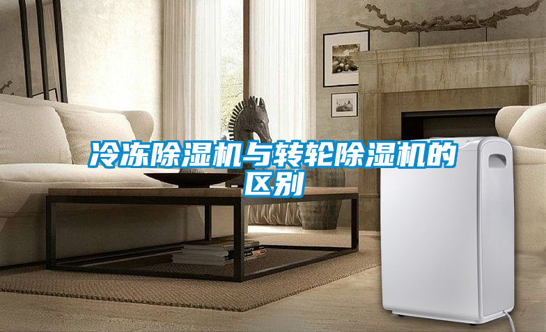 欧美黄色电影在线播放 冷冻除湿机与转轮除湿机的区别