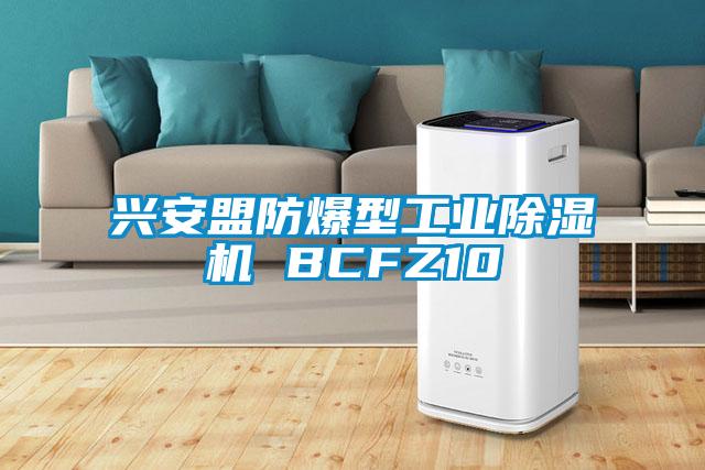 欧美黄色性爱视频网站 兴安盟防爆型工业除湿机 BCFZ10