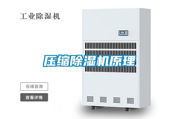 欧美黄色电影在线播放 压缩除湿机原理