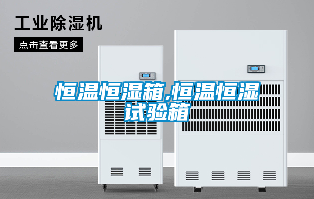 欧美成色手机在线观看 恒温恒湿箱,恒温恒湿试验箱