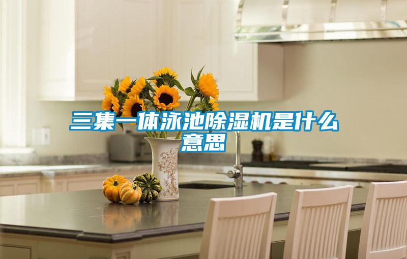 欧美黄色电影在线播放 三集一体泳池除湿机是什么意思