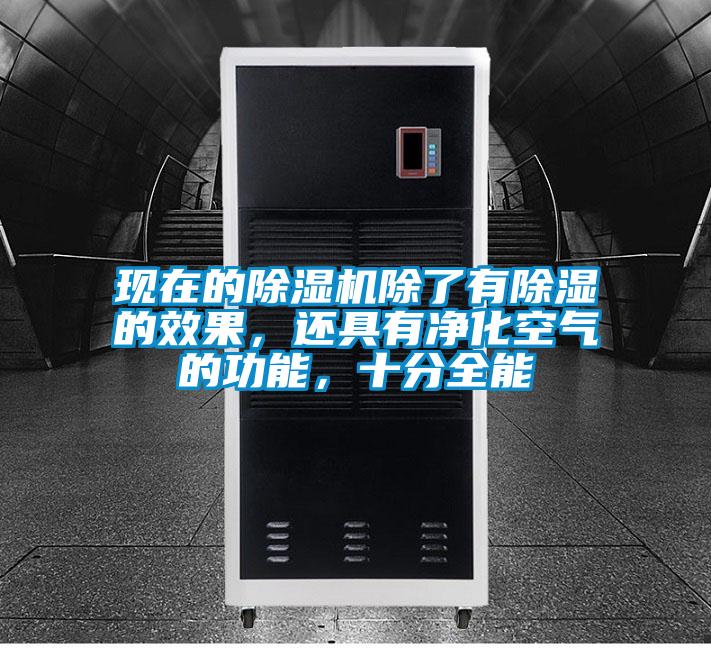 欧美成色手机在线观看 现在的除湿机除了有除湿的效果，还具有净化空气的功能，十分全能
