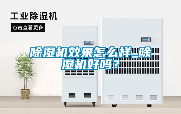 欧美成色手机在线观看 除湿机效果怎么样_除湿机好吗？