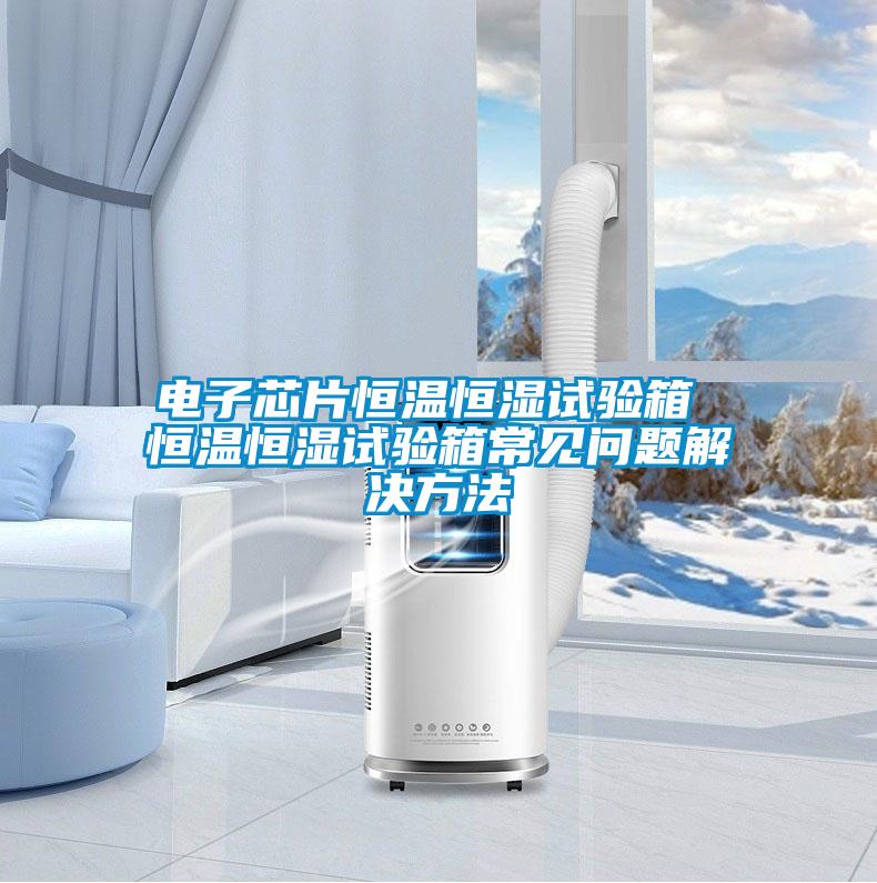 欧美黄色电影在线播放 电子芯片恒温恒湿试验箱 恒温恒湿试验箱常见问题解决方法