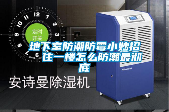 欧美成色手机在线观看 地下室防潮防霉小妙招  住一楼怎么防潮最彻底