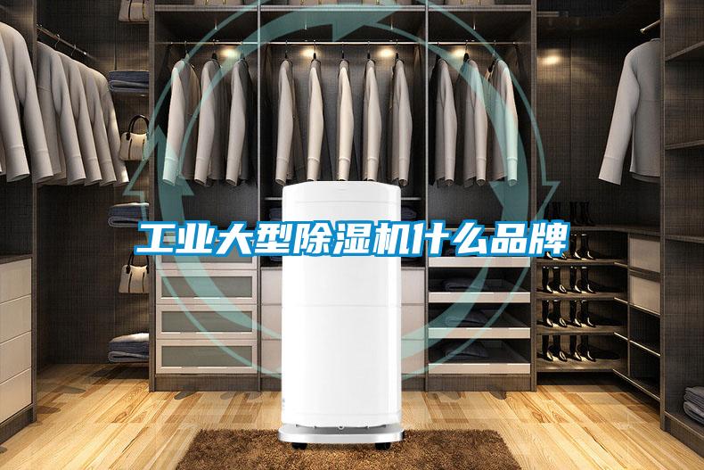 欧美成色手机在线观看 工业大型除湿机什么品牌