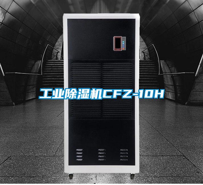 欧美黄色性爱视频网站 工业除湿机CFZ-10H