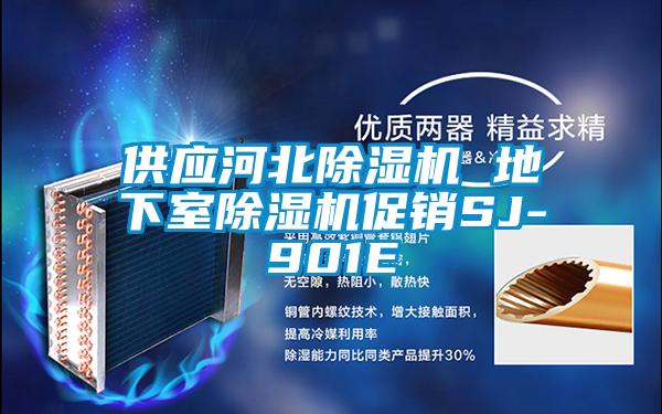欧美成色手机在线观看 供应河北除湿机 地下室除湿机促销SJ-901E