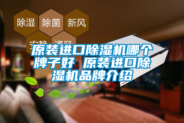 欧美黄色性爱视频网站 原装进口除湿机哪个牌子好 原装进口除湿机品牌介绍
