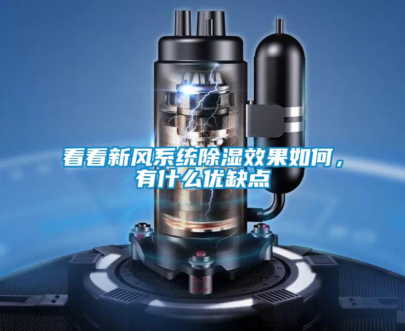 欧美黄色电影在线播放 看看新风系统除湿效果如何，有什么优缺点