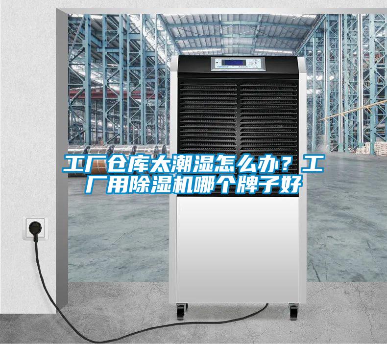 欧美黄色电影在线播放 工厂仓库太潮湿怎么办？工厂用除湿机哪个牌子好