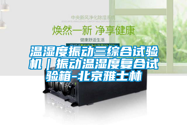 欧美黄色性爱视频网站 温湿度振动三综合试验机｜振动温湿度复合试验箱-北京雅士林