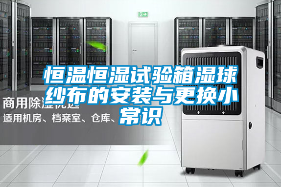 欧美成色手机在线观看 恒温恒湿试验箱湿球纱布的安装与更换小常识