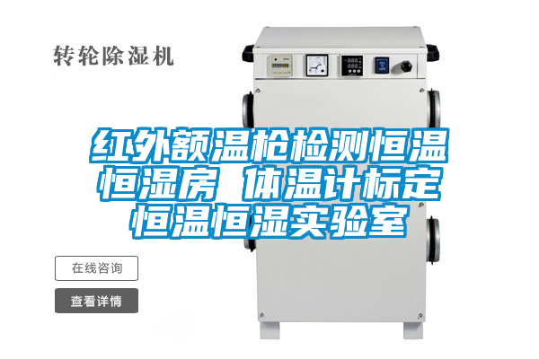 欧美黄色性爱视频网站 红外额温枪检测恒温恒湿房 体温计标定恒温恒湿实验室