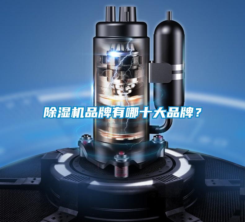 欧美黄色电影在线播放 除湿机品牌有哪十大品牌？