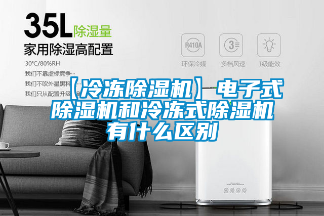 欧美黄色性爱视频网站 【冷冻除湿机】电子式除湿机和冷冻式除湿机有什么区别