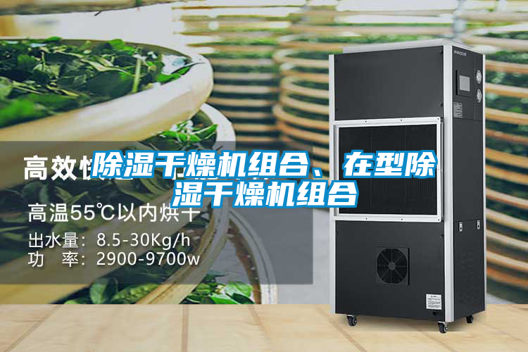 欧美黄色性爱视频网站 除湿干燥机组合、在型除湿干燥机组合