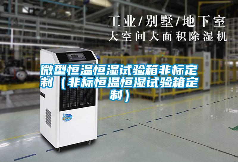欧美黄色电影在线播放 微型恒温恒湿试验箱非标定制（非标恒温恒湿试验箱定制）
