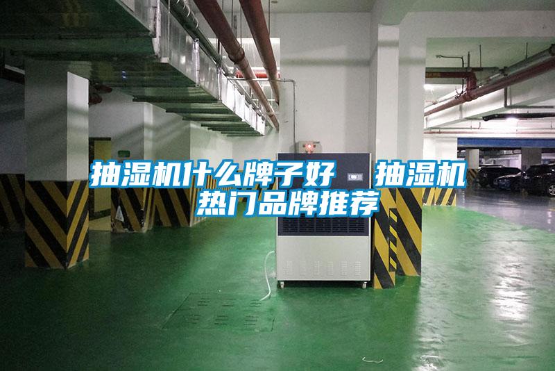 欧美黄色电影在线播放 抽湿机什么牌子好  抽湿机 热门品牌推荐
