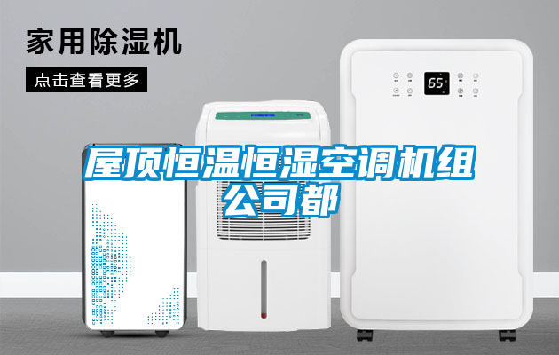 欧美黄色电影在线播放 屋顶恒温恒湿空调机组公司都