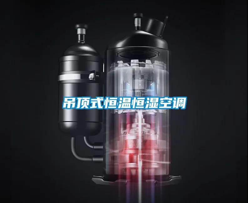 欧美黄色电影在线播放 吊顶式恒温恒湿空调