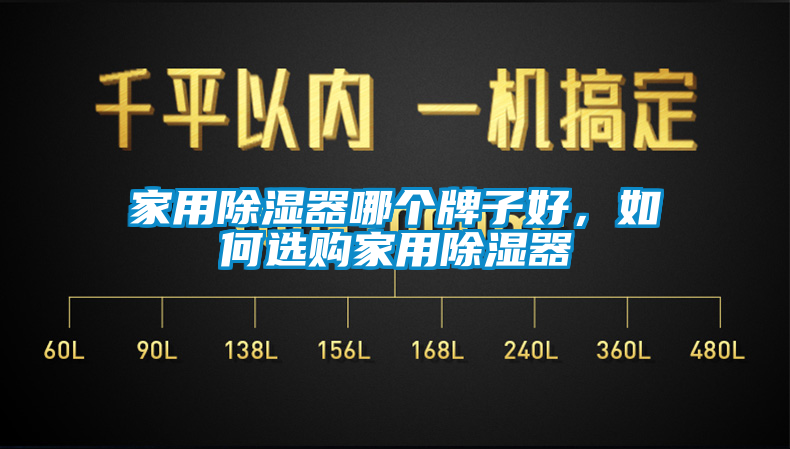 欧美黄色性爱视频网站 家用除湿器哪个牌子好，如何选购家用除湿器