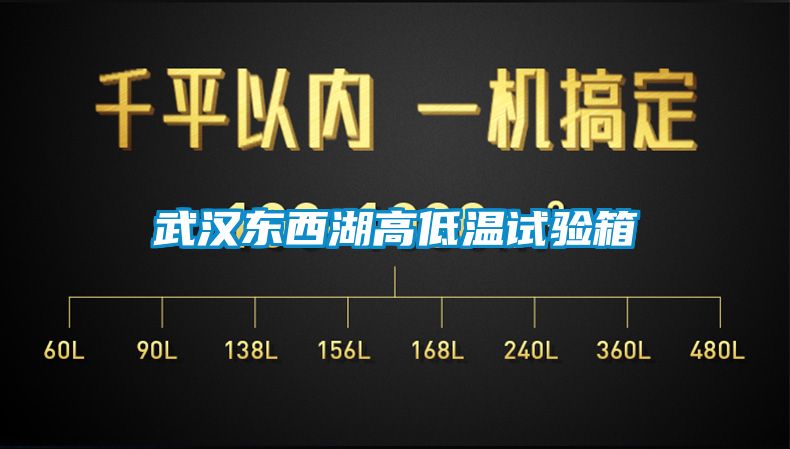 欧美黄色性爱视频网站 武汉东西湖高低温试验箱