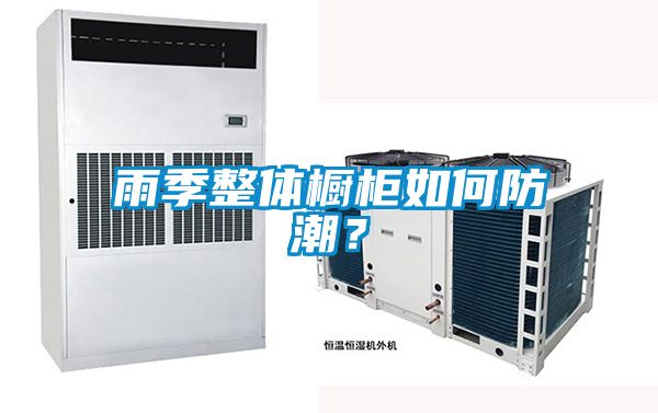 欧美黄色电影在线播放 雨季整体橱柜如何防潮？