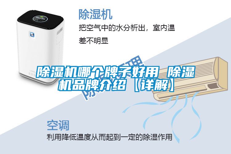 欧美黄色电影在线播放 除湿机哪个牌子好用 除湿机品牌介绍【详解】