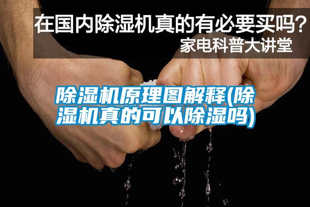 欧美黄色电影在线播放 除湿机原理图解释(除湿机真的可以除湿吗)