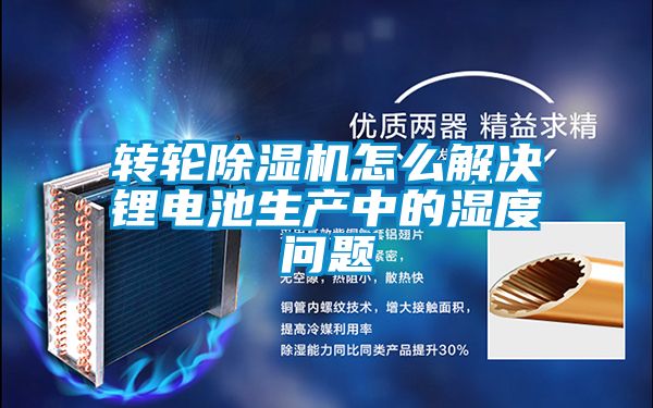 欧美黄色电影在线播放 转轮除湿机怎么解决锂电池生产中的湿度问题
