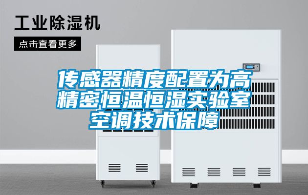 欧美黄色电影在线播放 传感器精度配置为高精密恒温恒湿实验室空调技术保障
