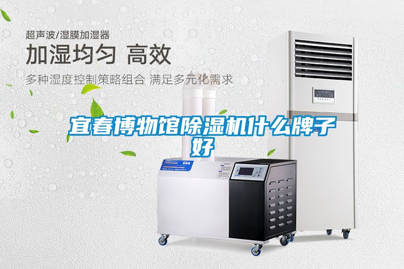 欧美黄色性爱视频网站 宜春博物馆除湿机什么牌子好