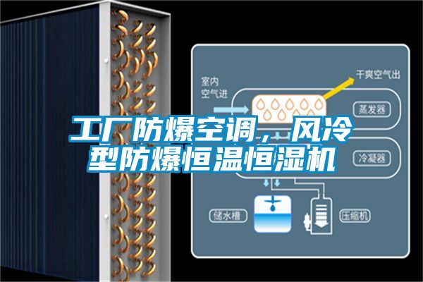 欧美黄色性爱视频网站 工厂防爆空调，风冷型防爆恒温恒湿机