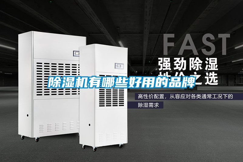 欧美成色手机在线观看 除湿机有哪些好用的品牌