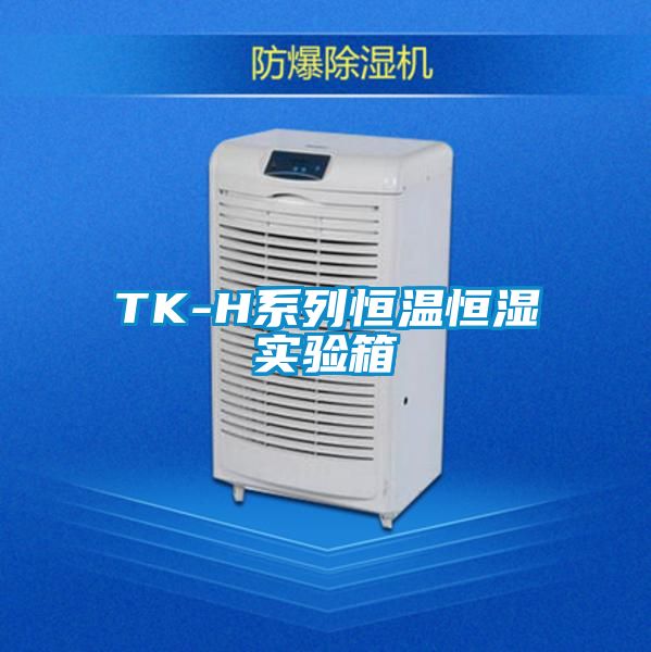 欧美黄色性爱视频网站 TK-H系列恒温恒湿实验箱
