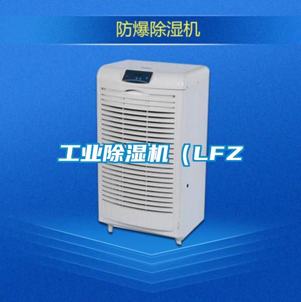 欧美黄色性爱视频网站 工业除湿机（LFZ