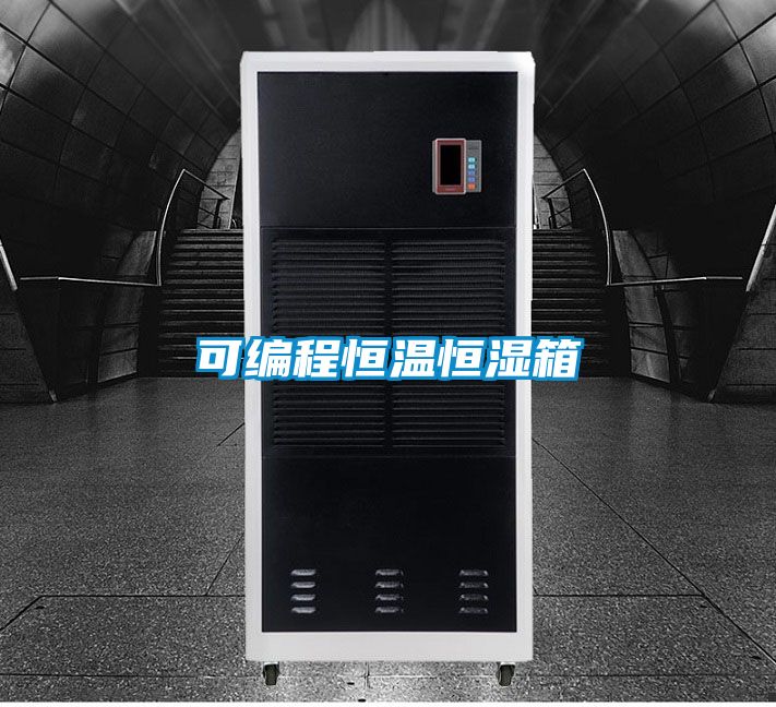 欧美黄色电影在线播放 可编程恒温恒湿箱